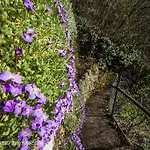 Il Balcone Sul